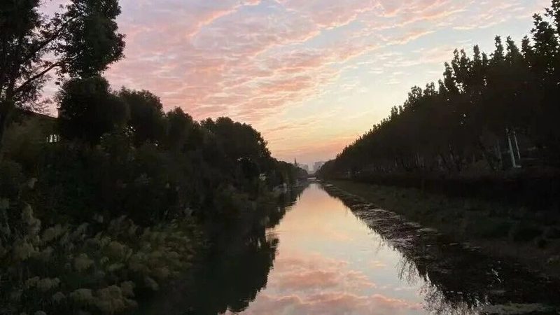 代办营业执照被骗？揭秘如何避免再次中招